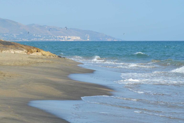 INCREDIBILE A Maccarese è caccia a un animale molto pericoloso