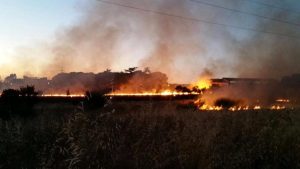Brucia la zona di Poggio Cesi, vasto incendio tra Montecelio e Sant’Angelo