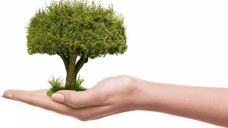 ROMA Parte la riforestazione urbana. Prima tappa a Roma Sud