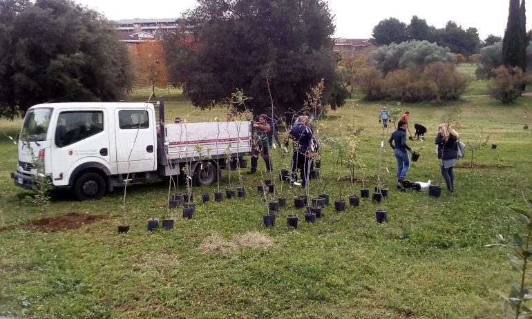 ROMA La Giornata nazionale degli alberi