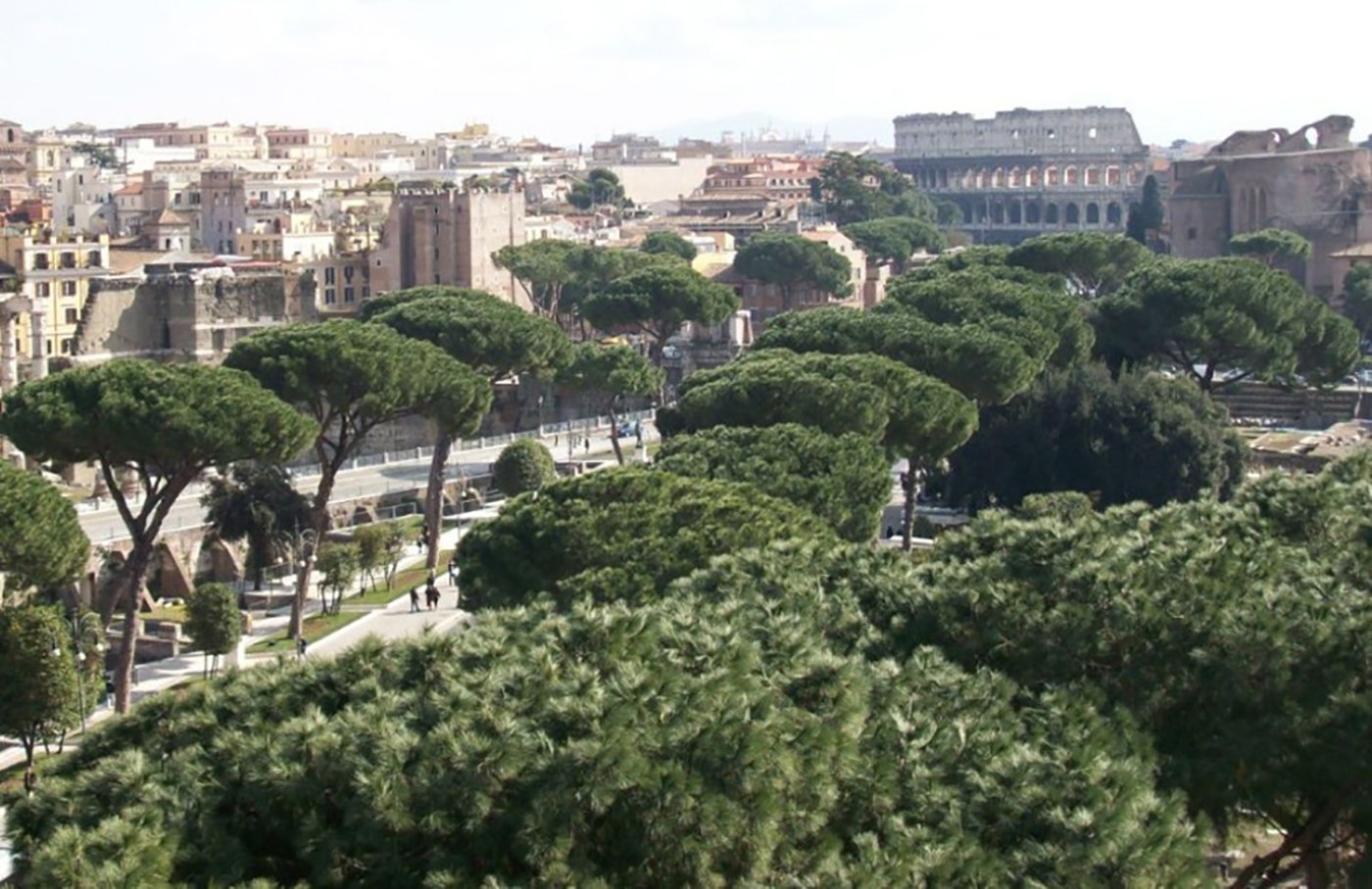 Piano verde Roma