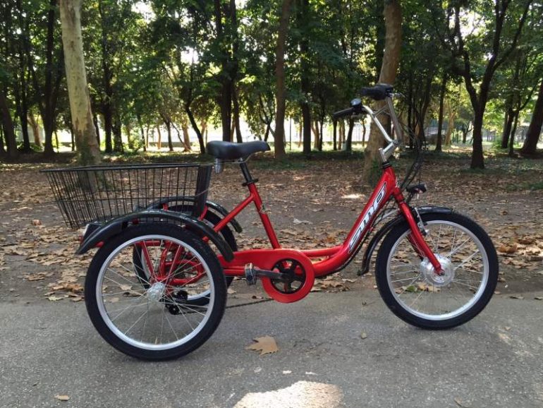 ROMA Rubata la bici speciale di Giorgio: l’appello dei genitori