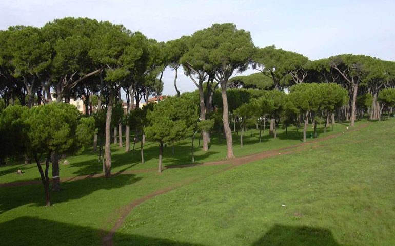 ROMA Si masturbava in Pineta Sacchetti: 48enne romeno nei guai