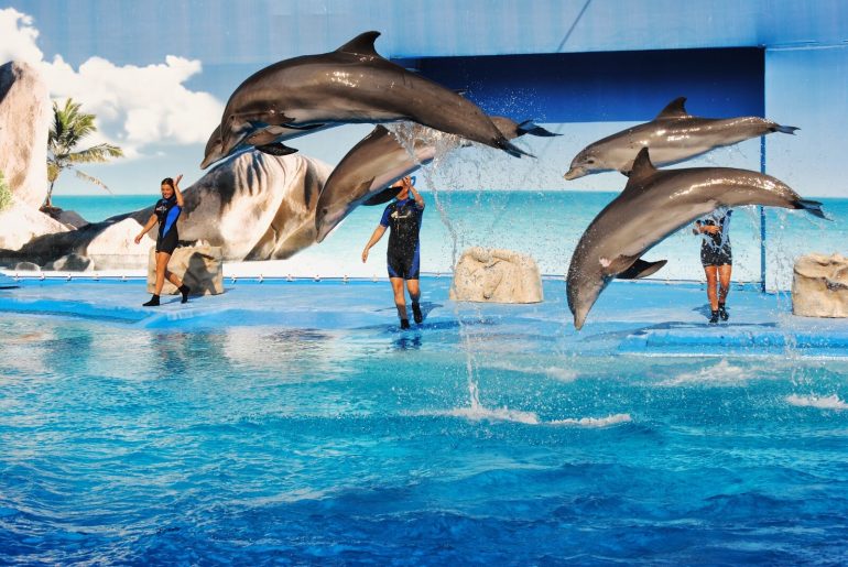 ZOOMARINE E ACQUAFELIX – Posti di lavoro in arrivo