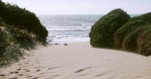 TORVAIANICA Droga tra le dune della spiaggia: marocchino nei guai