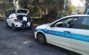 ROMA Primavalle — Rinvenuta colonia felina: 15 gatti messi in salvo