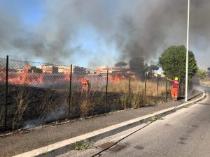 DRAGONCELLO A fuoco il terreno: 3 ore per spengere le fiamme