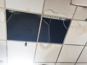 OSTIENSE Anche un ombrello come controsoffitto: chiuso ristorante (FOTO)