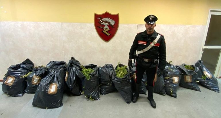 FUGGONO DA UN POSTO DI BLOCCO. ARRESTATI DUE NOMADI DOPO INSEGUIMENTO. 93 CHILI DI DROGA