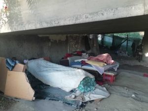 ROMA Parco di Monte Mario — Rimosso insediamento abusivo