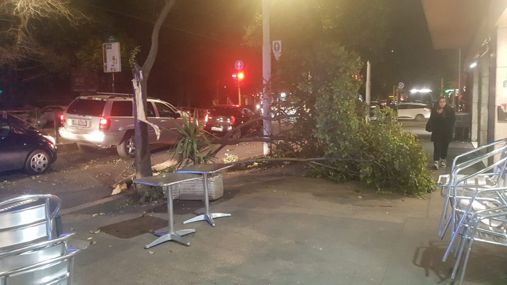 ULTIM’ORA – Il vento sferza la Capitale: disagi a Roma