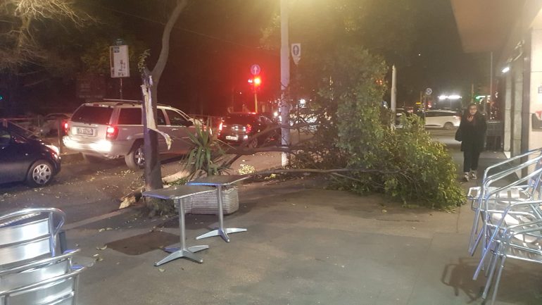 ULTIM’ORA – Il vento sferza la Capitale: disagi a Roma