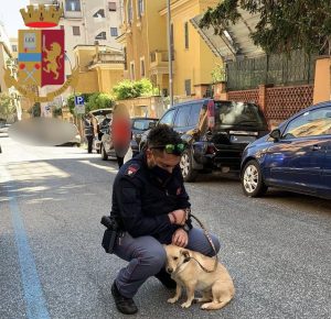 La Polizia trova un cane abbandonato: l’agente lo adotta