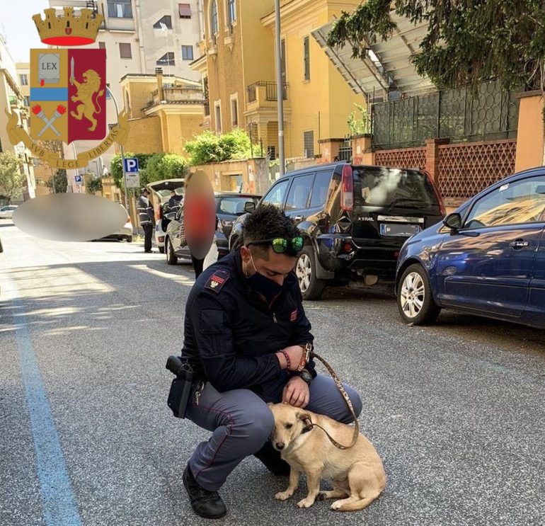 La Polizia trova un cane abbandonato: l’agente lo adotta