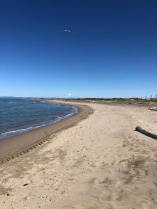 FIUMICINO Persona trovata senza vita sulla spiaggia: è giallo