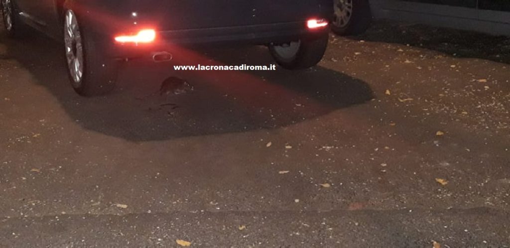 FOTO Quartiere Prati nel degrado, tra topi e rifiuti