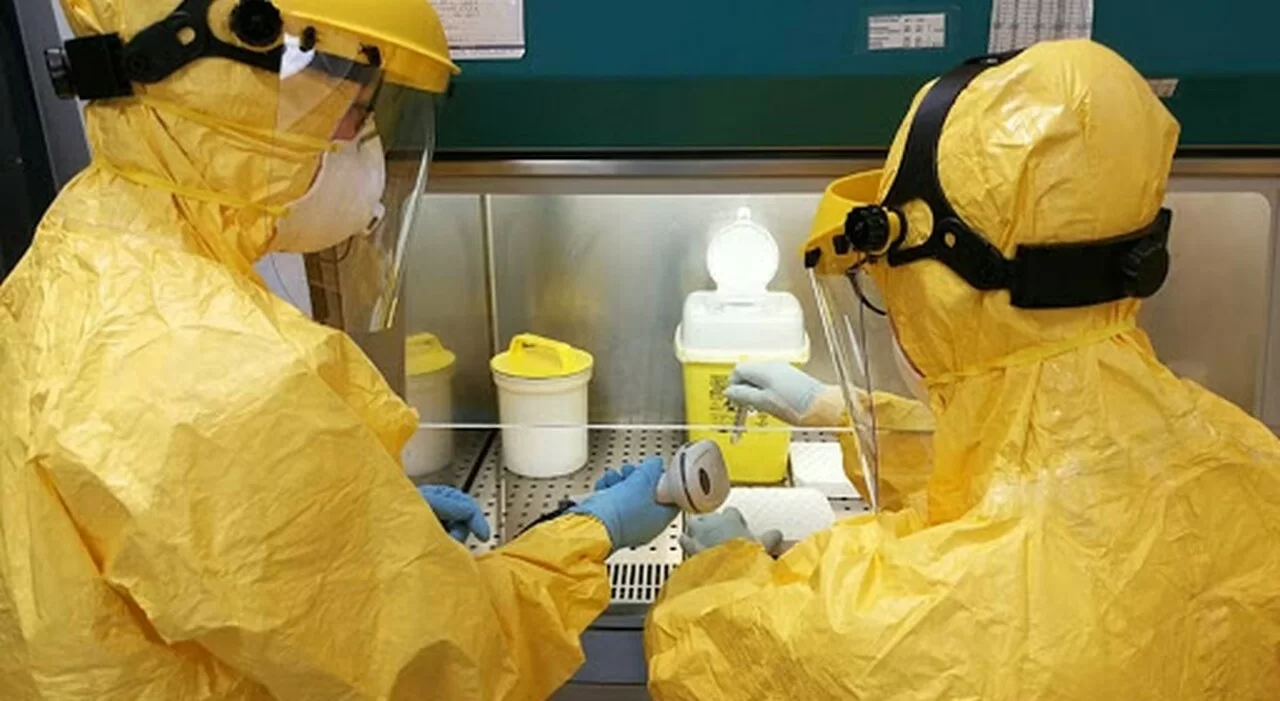 Covid fuggito da laboratorio, le nuove rivelazioni dagli Stati Uniti