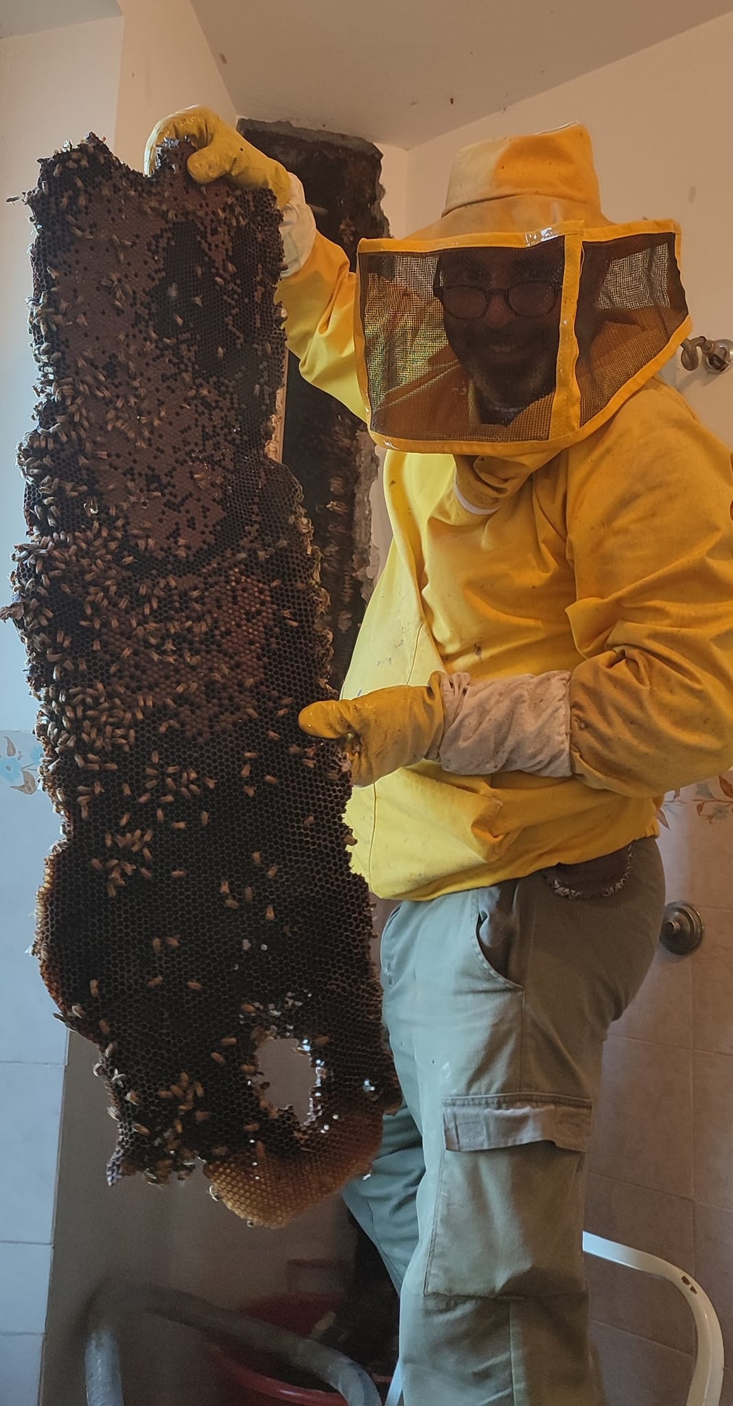 centomila api in un muro castelnuovo di porto
