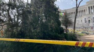 Alberi crollati a Piazza Venezia: paura a due passi dal Campidoglio