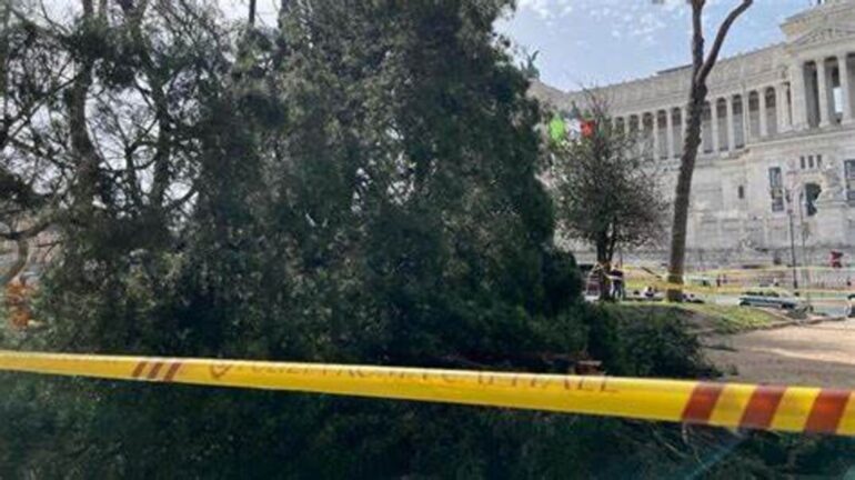 Alberi crollati a Piazza Venezia: paura a due passi dal Campidoglio
