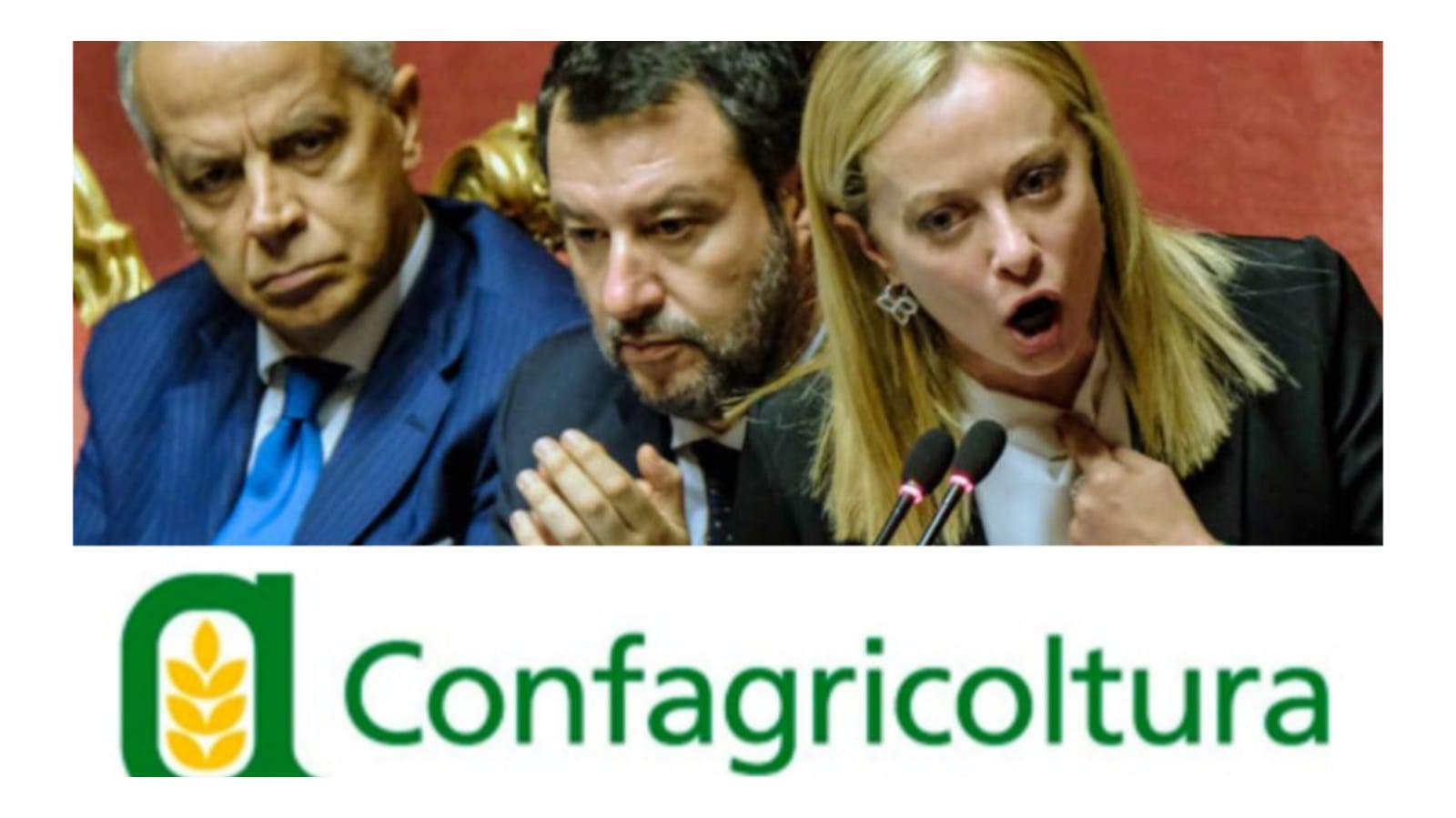 Confagricoltura