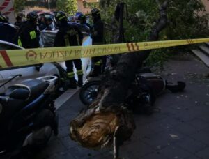 Monteverde, Donna schiacciata da un albero
