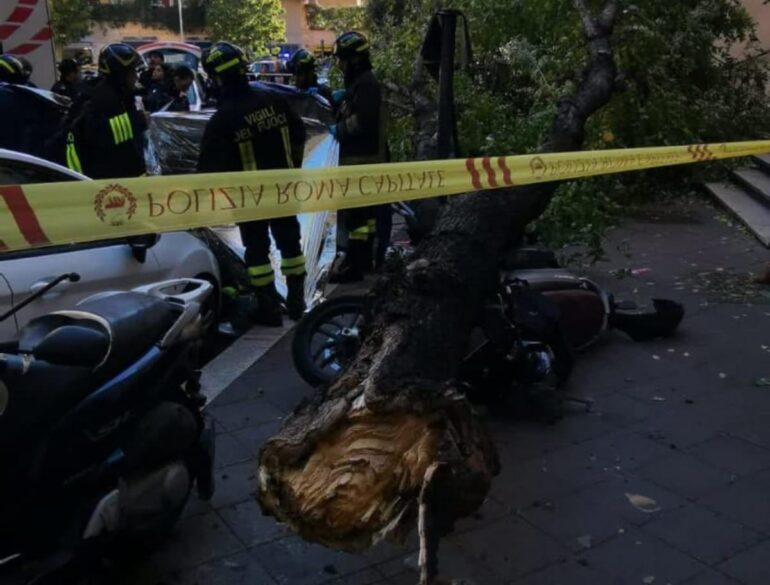 Monteverde, Donna schiacciata da un albero