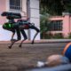 saetta cane robot carabinieri