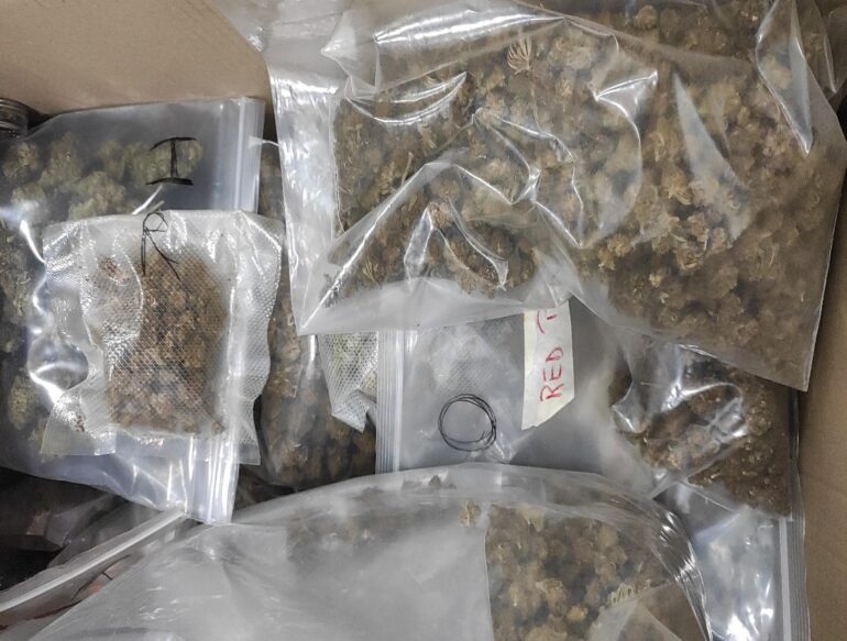 Operazione Anti-Contrabbando: Sequestrati 70 kg di Canapa Sativa Irregolare in un ‘Canapa Shop’!