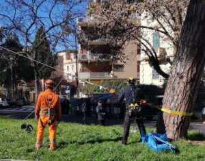 A Corso Trieste prove di trazione per messa in sicurezza dei pini