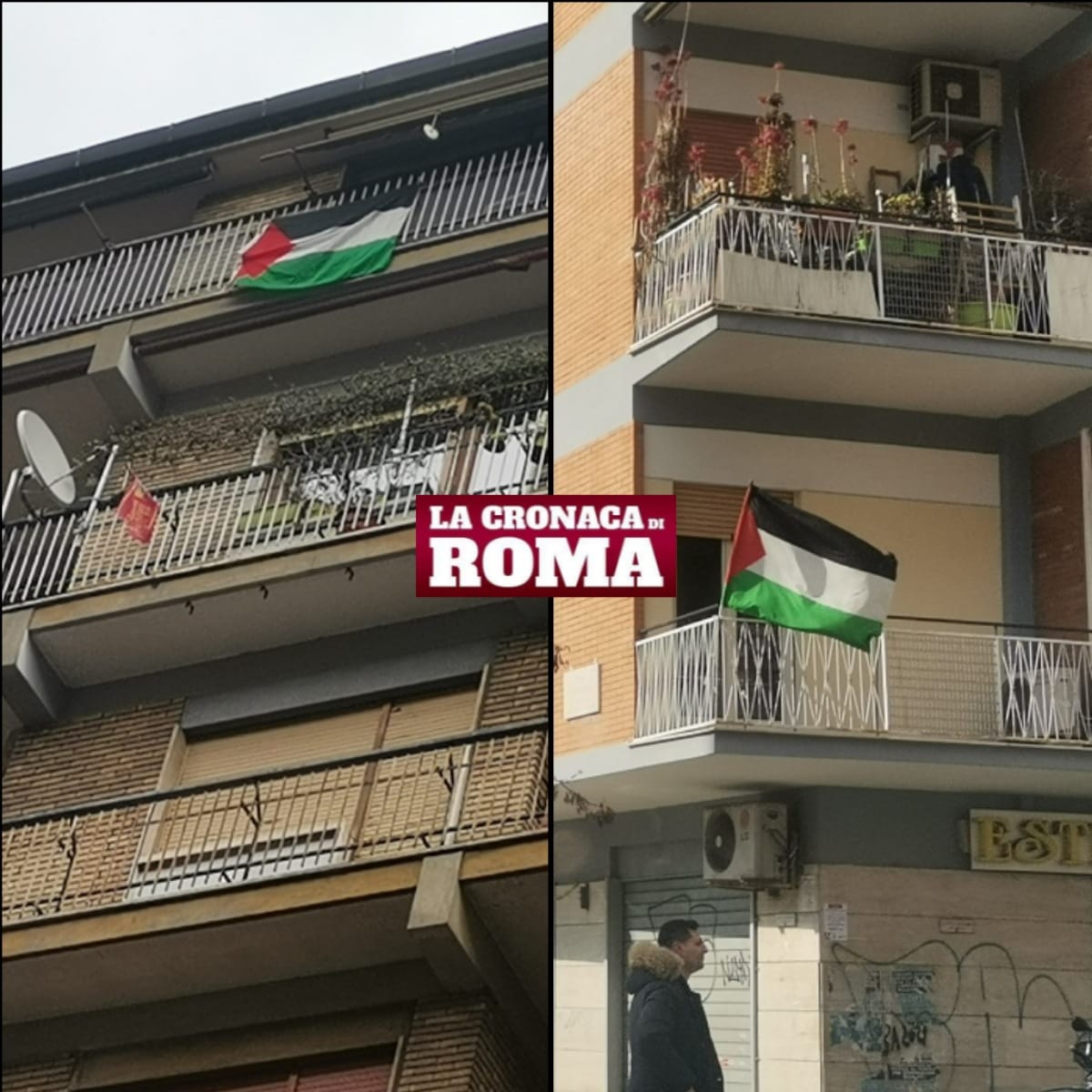 Bandiere della Palestina a Roma
