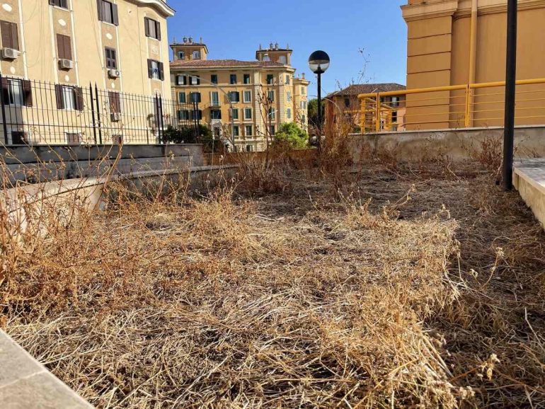 Roma, A San Giovanni il degrado del giardino della Asl di via La Spezia