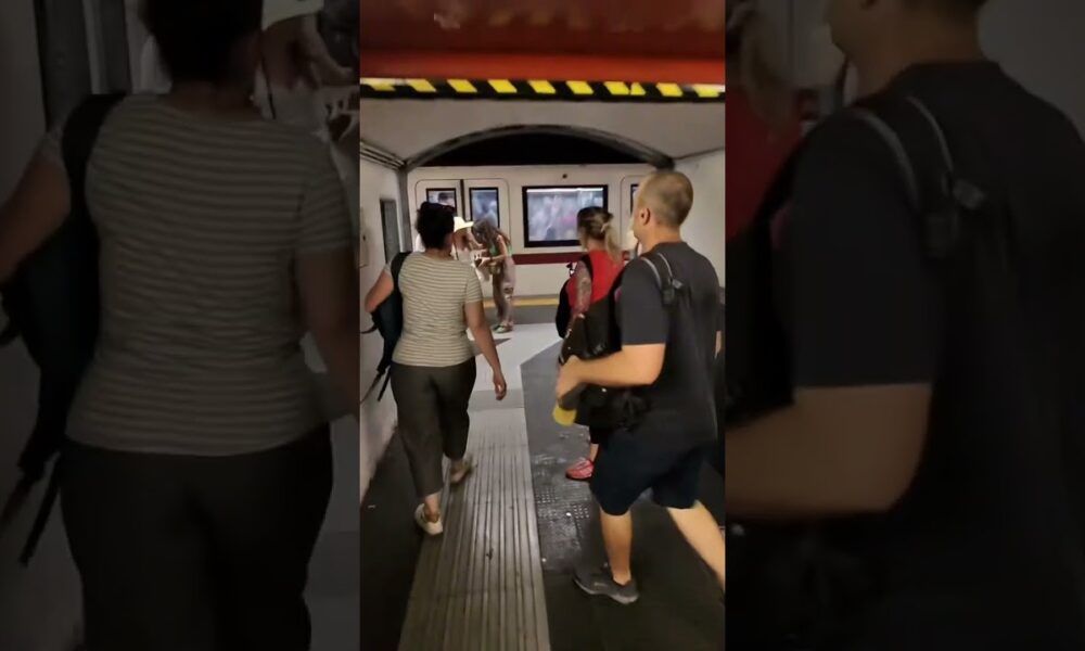 Turista scopre borseggiatrice che la deruba e la insegue VIDEO