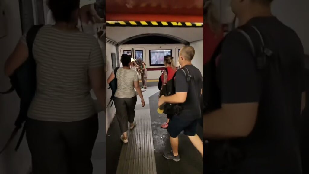 Turista scopre borseggiatrice che la deruba e la insegue VIDEO