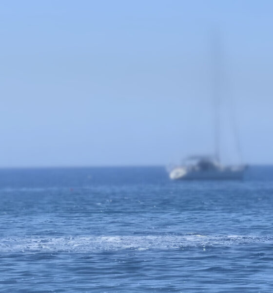 Schiuma e liquami in mare a Santa Marinella. La denuncia dell’associazione