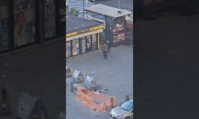 Napoli Fuori Controllo: Regolamento di Conti in Pieno Giorno #napoli #criminalità VIDEO
