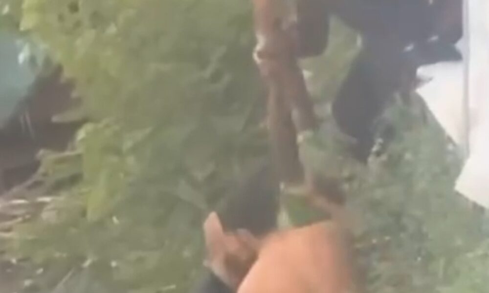 Ognuno ha i propri eroi. 2 Carabinieri si tuffano nel Tevere per salvare la vita di un uomo. VIDEO