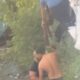 Ognuno ha i propri eroi. 2 Carabinieri si tuffano nel Tevere per salvare la vita di un uomo. VIDEO