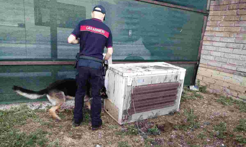Droga al carcere di velletri. Blitz dei carabinieri e 10 persone arrestate
