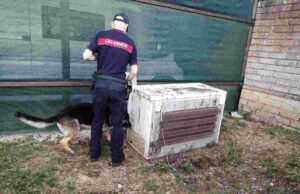 Droga al carcere di velletri. Blitz dei carabinieri e 10 persone arrestate