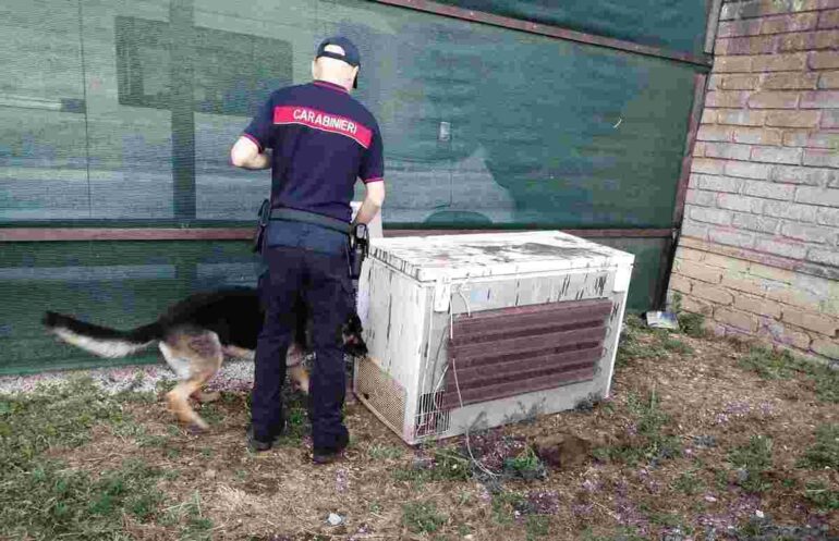 Droga al carcere di velletri. Blitz dei carabinieri e 10 persone arrestate