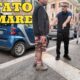 Tor Pignattara: vietato filmare il degrado, ma noi andiamo oltre