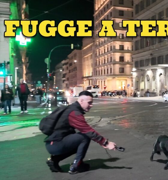 Termini in subbuglio: un cane impaurito fa breccia nei cuori dei presenti