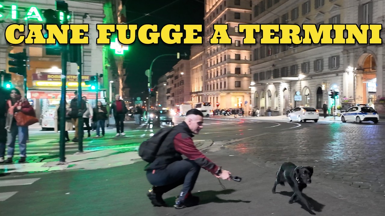 Termini in subbuglio: un cane impaurito fa breccia nei cuori dei presenti