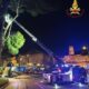 Roma, albero cade ai Fori Imperiali all’alba: intervento dei Vigili del Fuoco