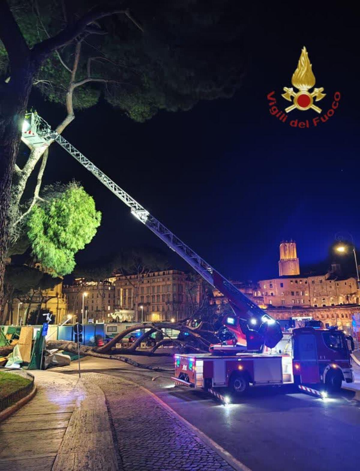 Roma, albero cade ai Fori Imperiali all’alba: intervento dei Vigili del Fuoco