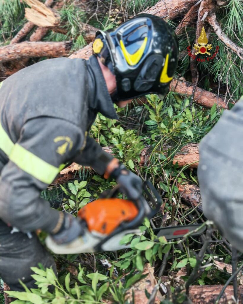 Roma, cade un albero ai Fori Imperiali: 3 feriti ricoverati e Gualtieri che dice?