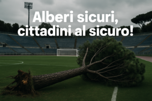 Crollo degli Alberi a Roma: Un Problema di Sicurezza Pubblica