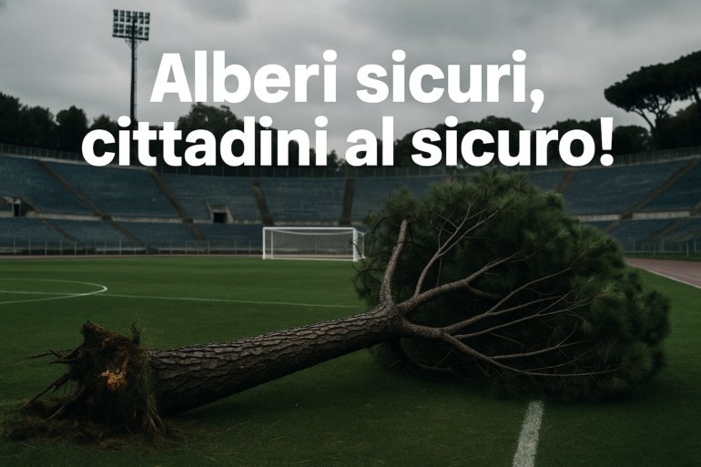 Crollo degli Alberi a Roma: Un Problema di Sicurezza Pubblica