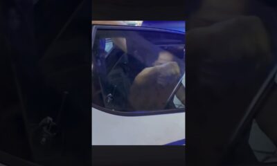 Ecco tre varianti del titolo originale, ognuna con un tono diverso come specificato. Ho mantenuto i fatti invariati (un uomo pericoloso arrestato dalla polizia a Napoli) e rispettato i limiti di caratteri (tutti sotto 60).

Tono neutro: Polizia arresta uomo pericoloso a Napoli (38 caratteri)  
Tono ironico leggero: Ancora un “pericoloso” in manette a Napoli (40 caratteri)  
Tono polemico sobrio: Ennesimo arresto per rischio a Napoli: interviene polizia (52 caratteri)
